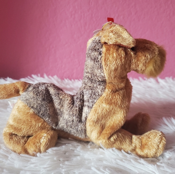 Ty Beanie Babies Whiskers The Dog 2000 - Picture 2 of 7